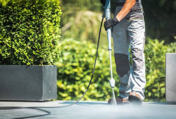 Best Sidewalk and Walkway Cleaning  in Westview, FL